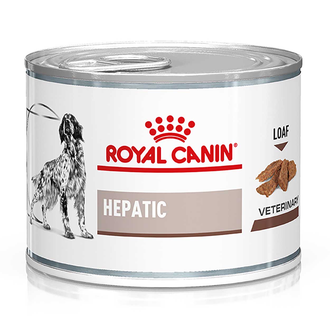 Royal Canin Hund Hepatic 12x200g