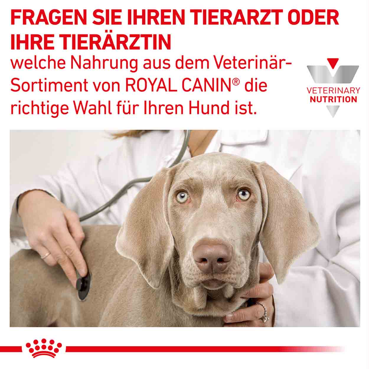 Royal Canin Hund Hepatic