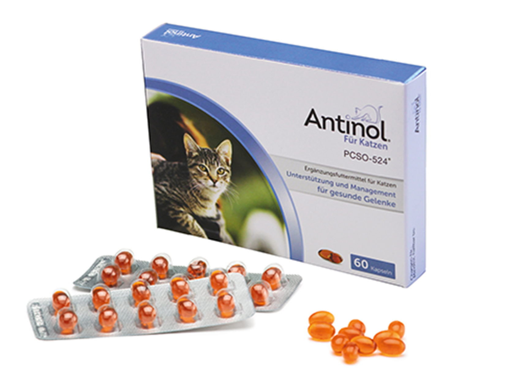 Antinol Katze 60 Kaps