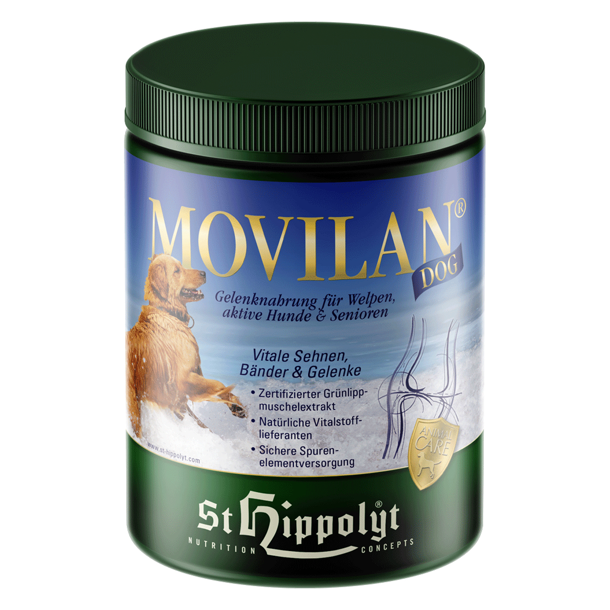 Movilan Dog