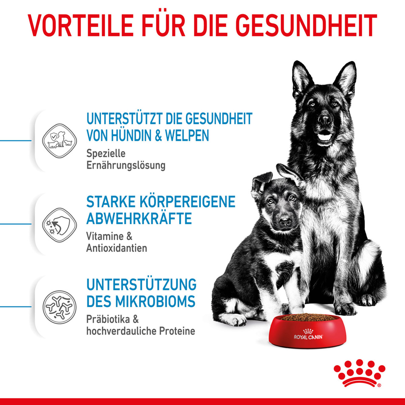 Royal Canin Hund Maxi Starter 15kg