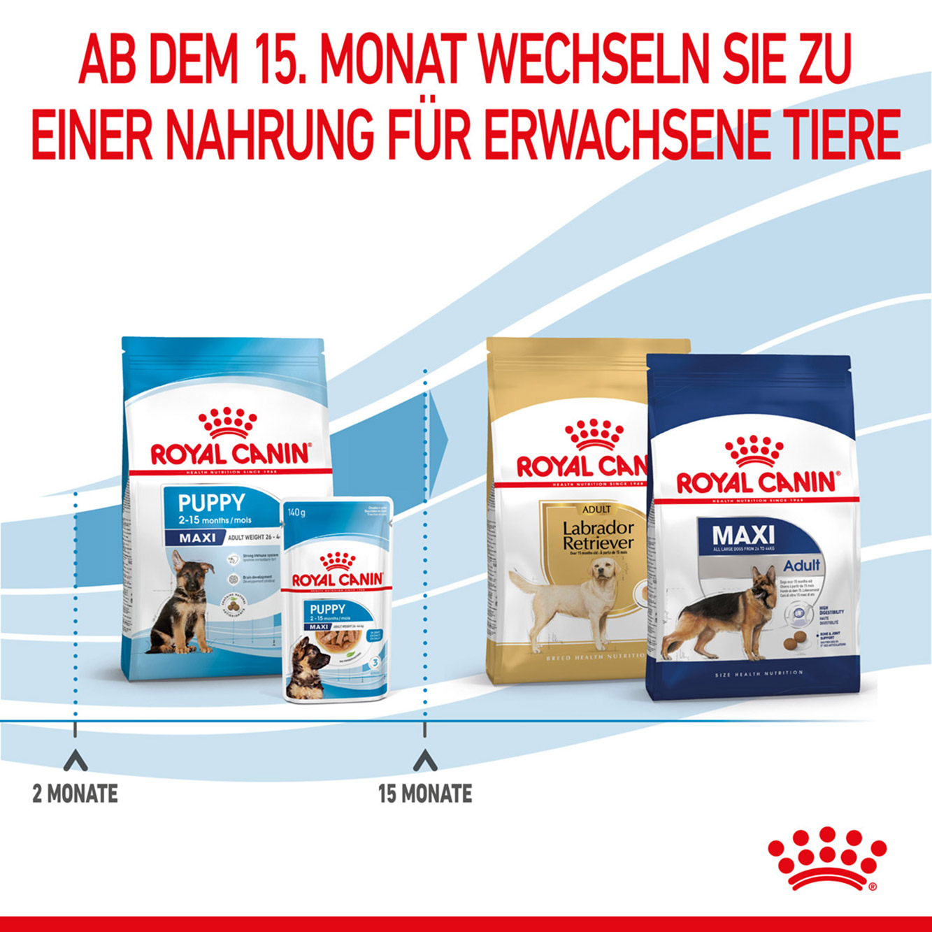 Royal Canin Hund Maxi Puppy 15kg 