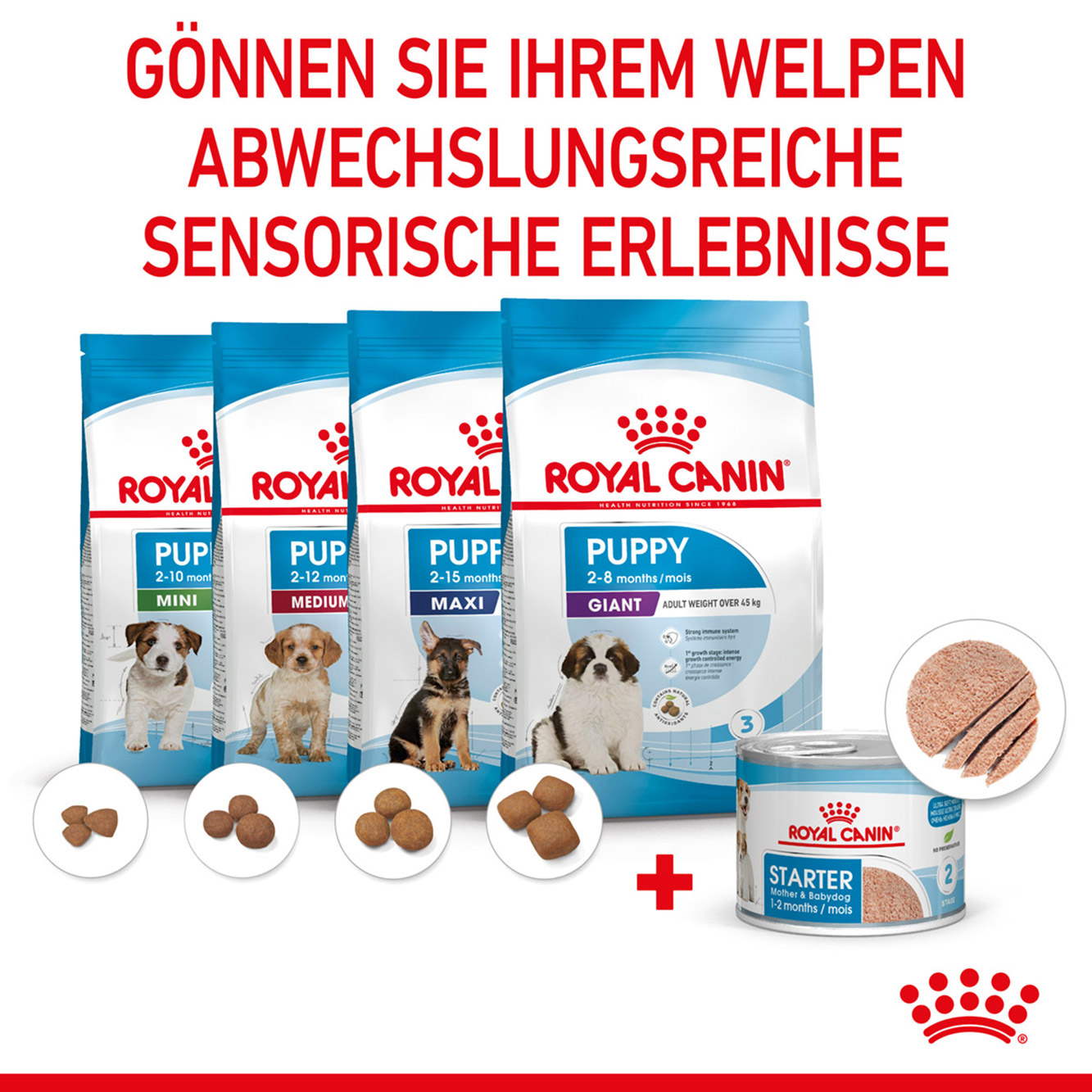 Royal Canin Hund Starter Mousse 12x195g