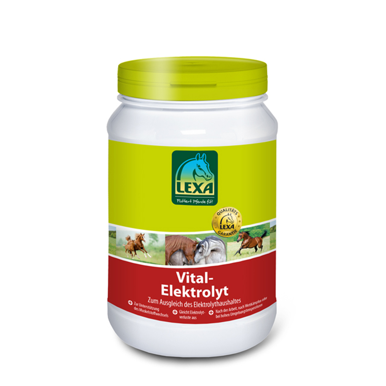 Lexa Vital Elektrolyt 1kg