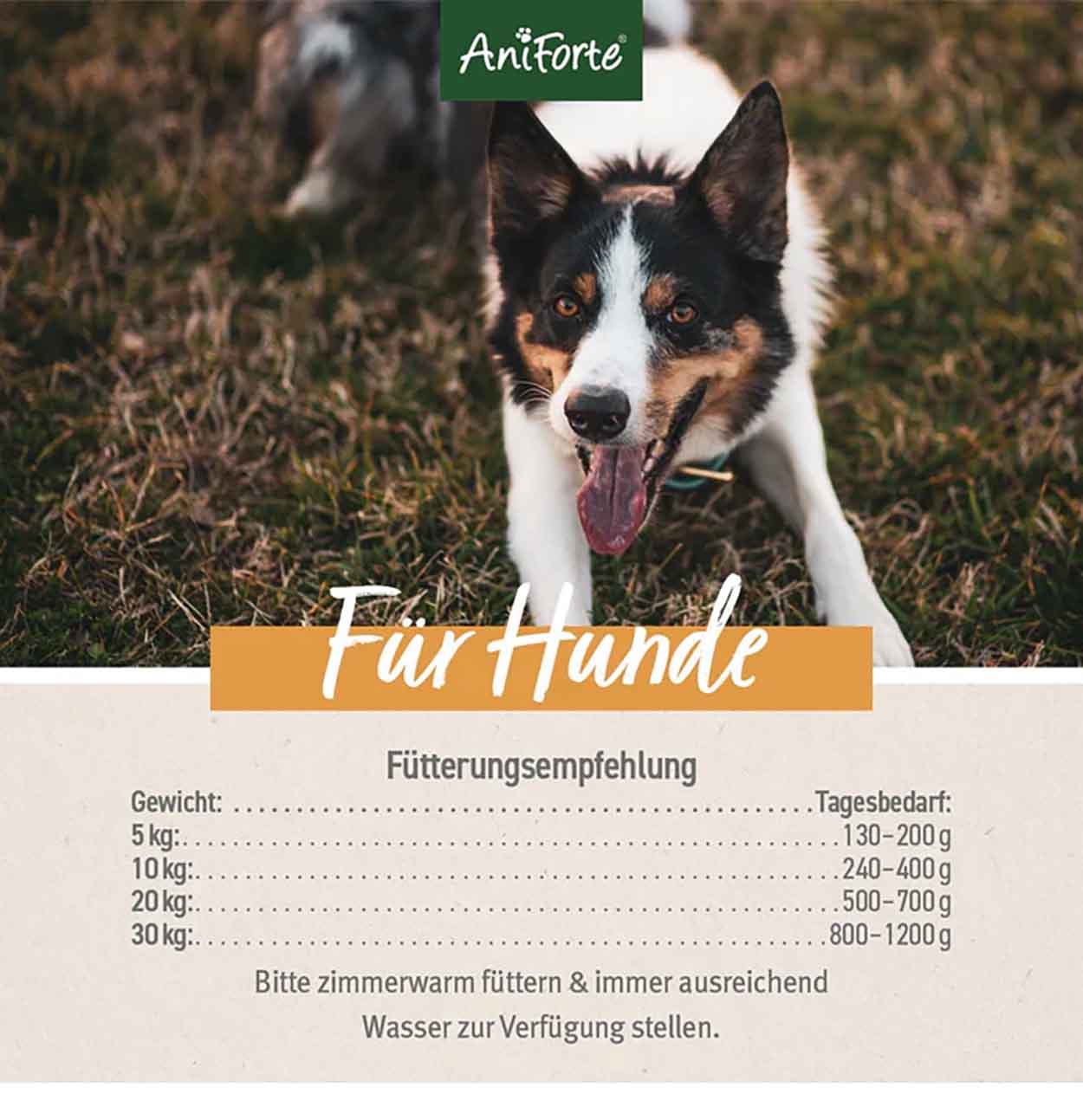 AniForte Pure Nature LandChicken Möhren