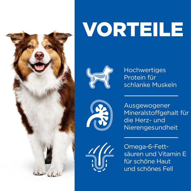 Hills Science Plan Hund Medium Mature Adult 7+ Huhn 14kg