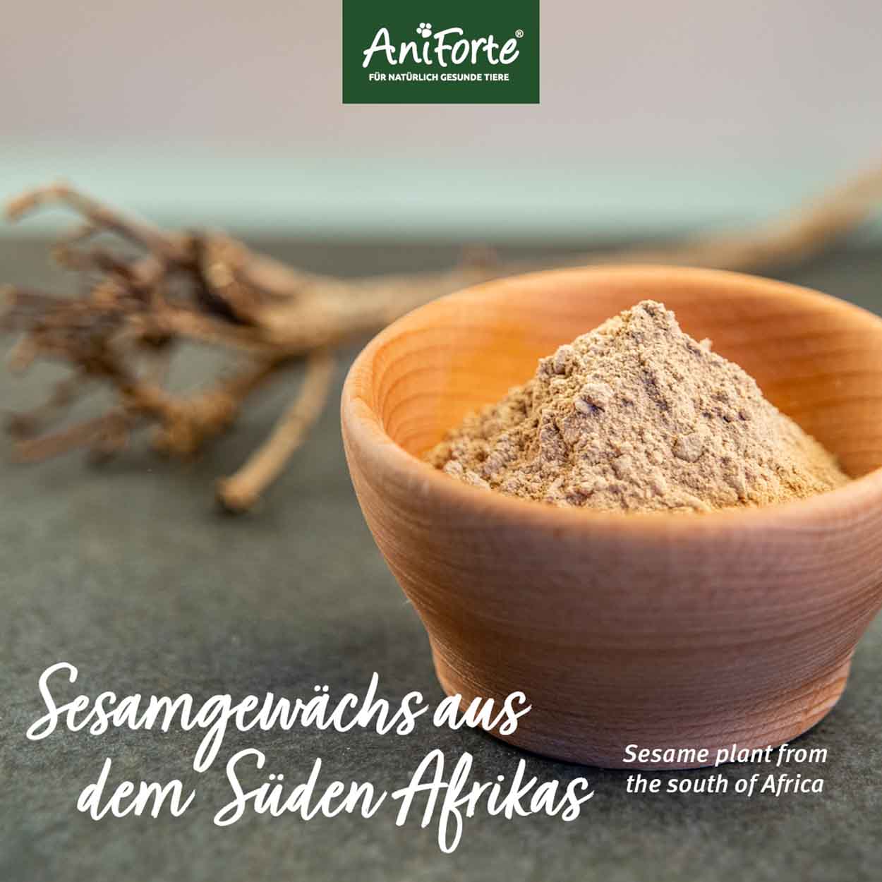 AniForte Afrikanische Teufelskralle 250g