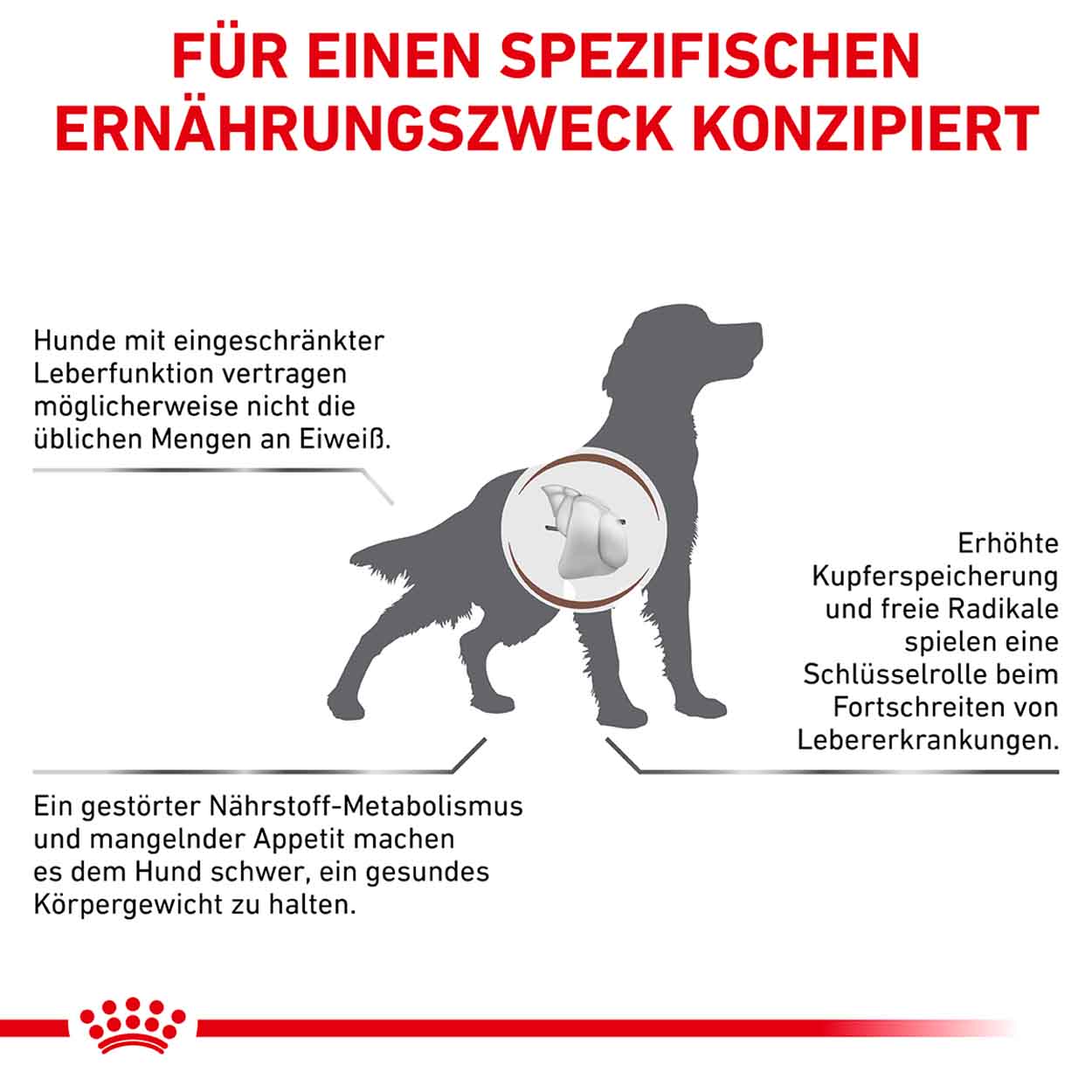 Royal Canin Hund Hepatic