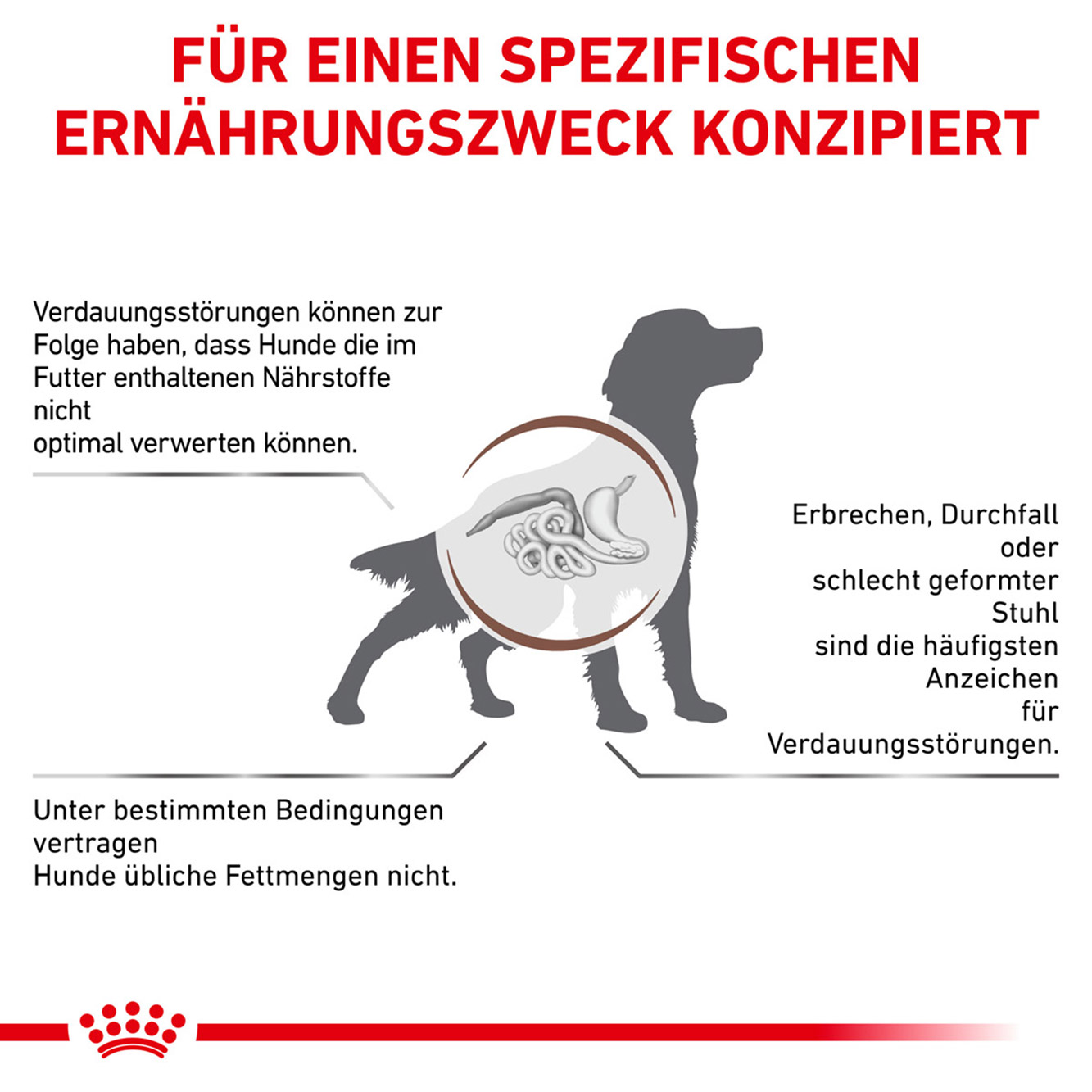 Royal Canin Hund GastroIntestinal low fat