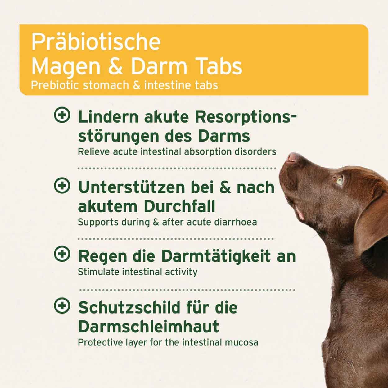 AniForte plus Magen Darm 90Tabs