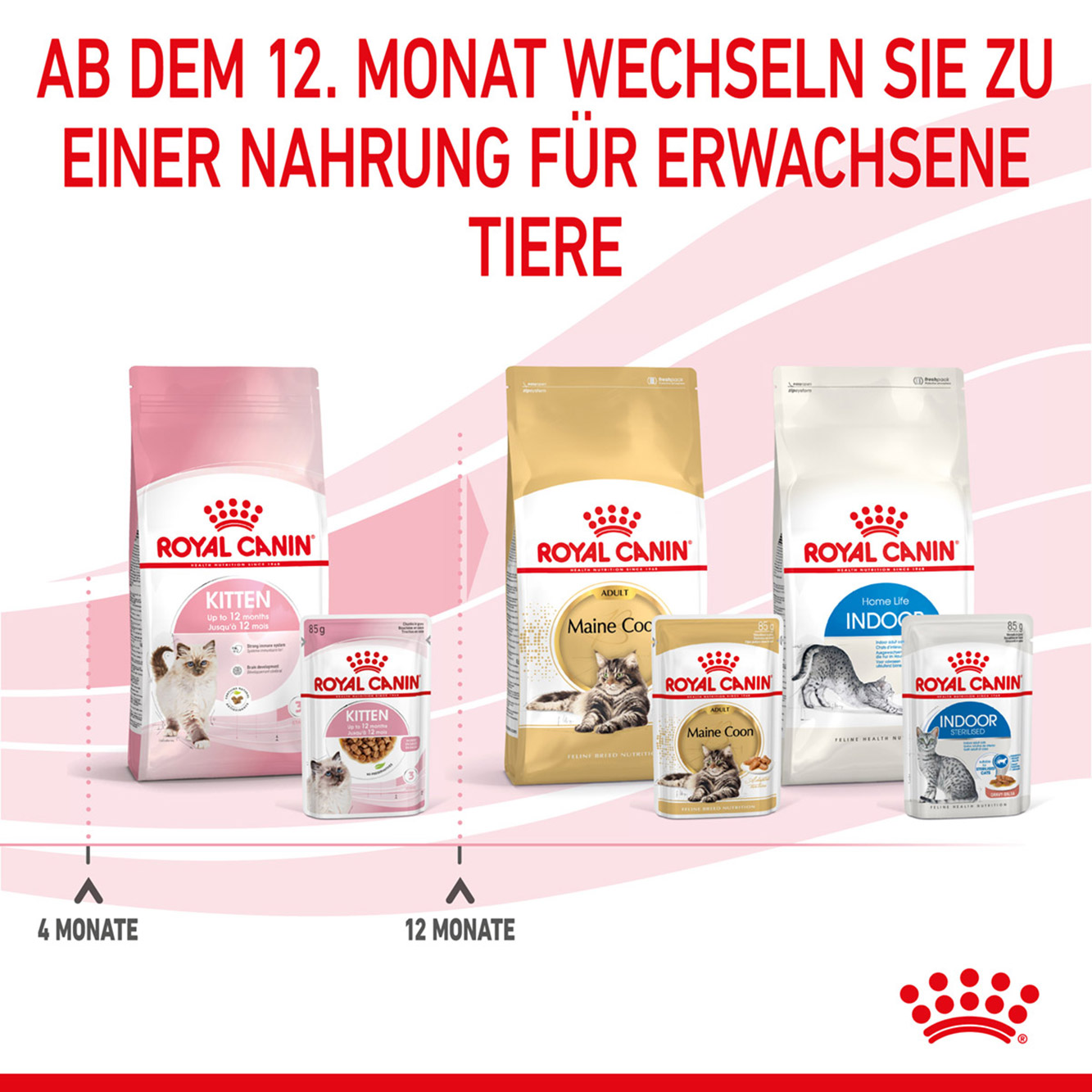 Royal Canin Katze Kitten Soße 12x85g