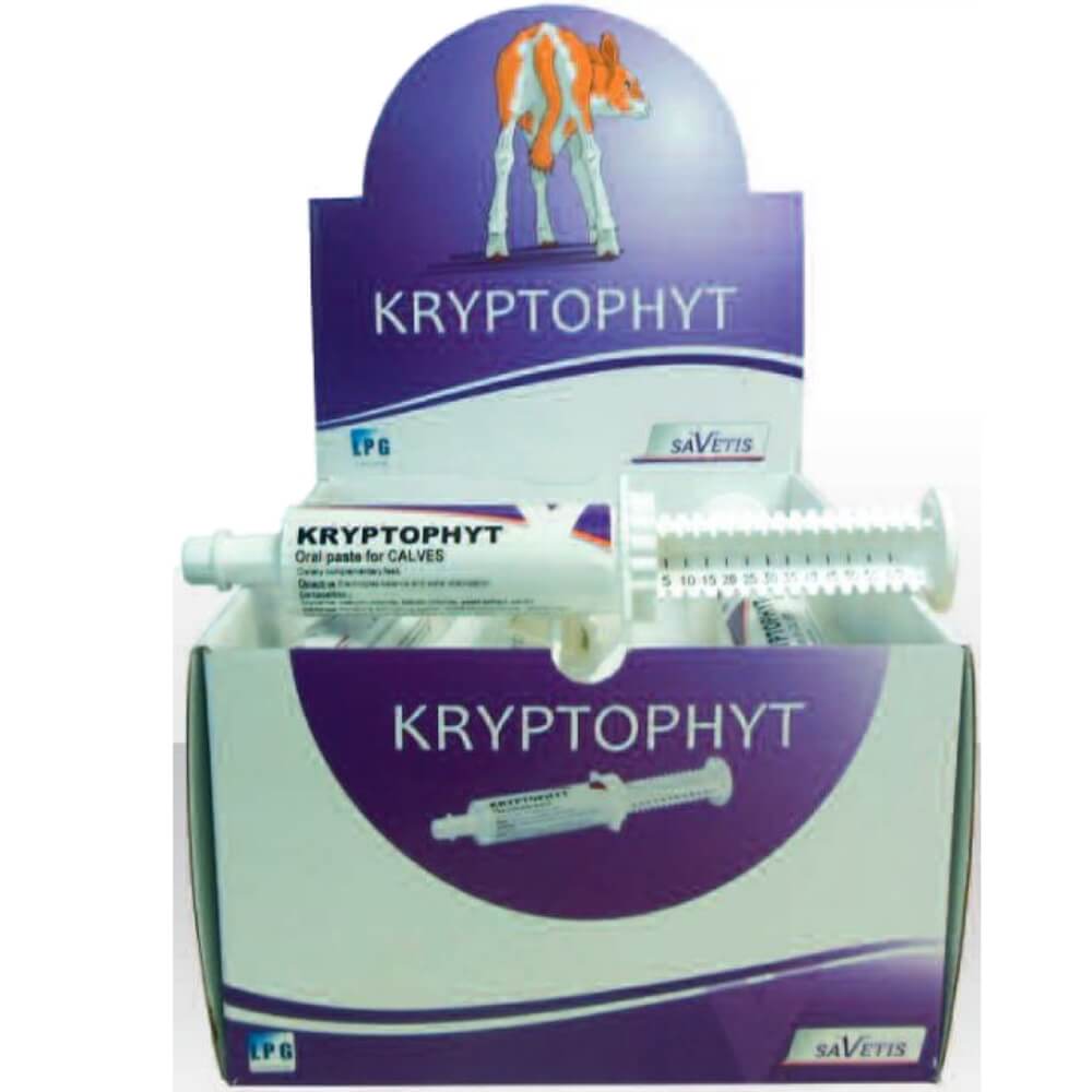 Kryptophyt