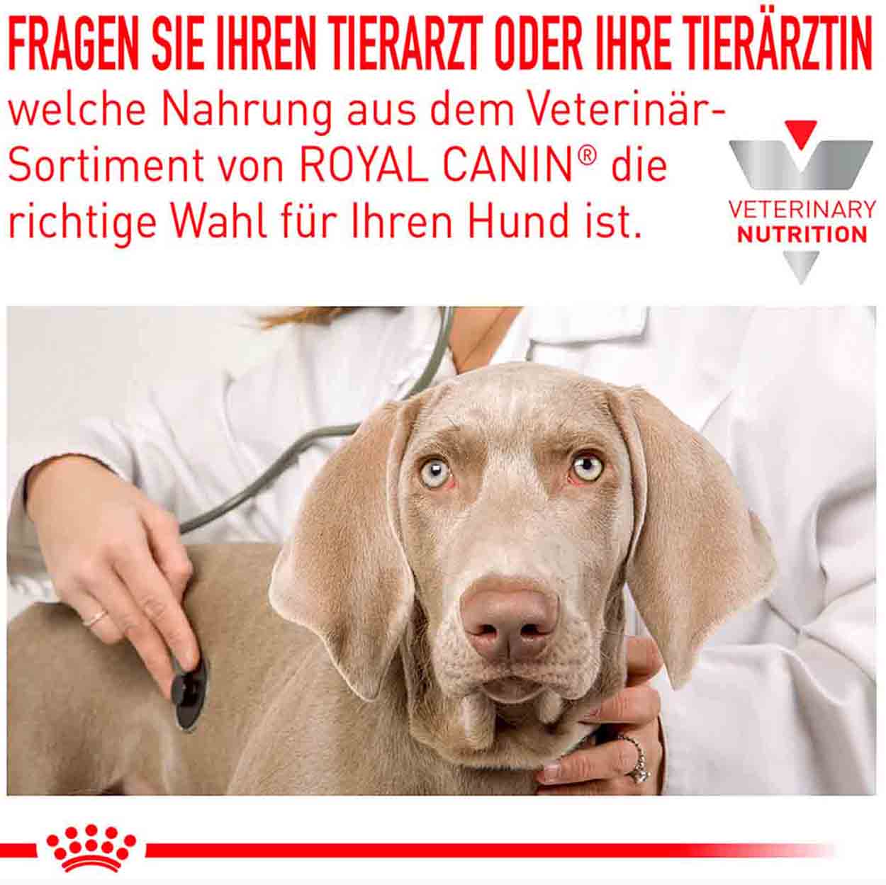 Royal Canin Hund Hypoallergenic Puppy 1,5kg 