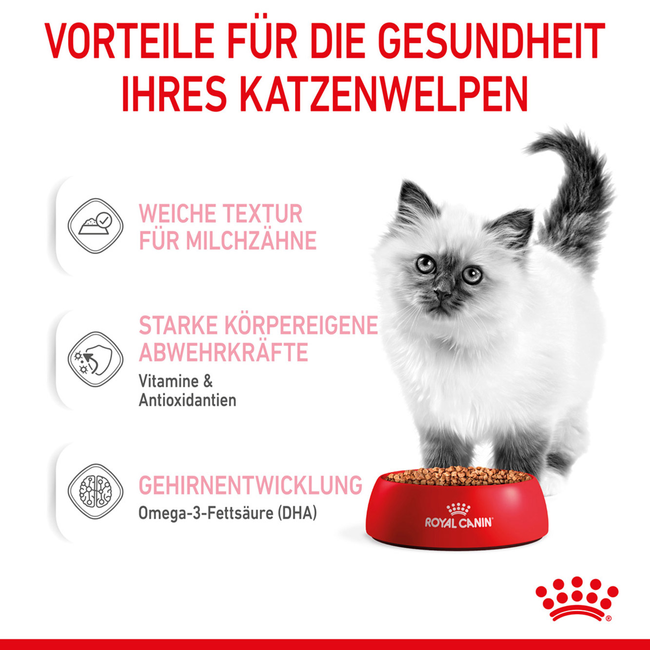 Royal Canin Katze Kitten Soße 12x85g