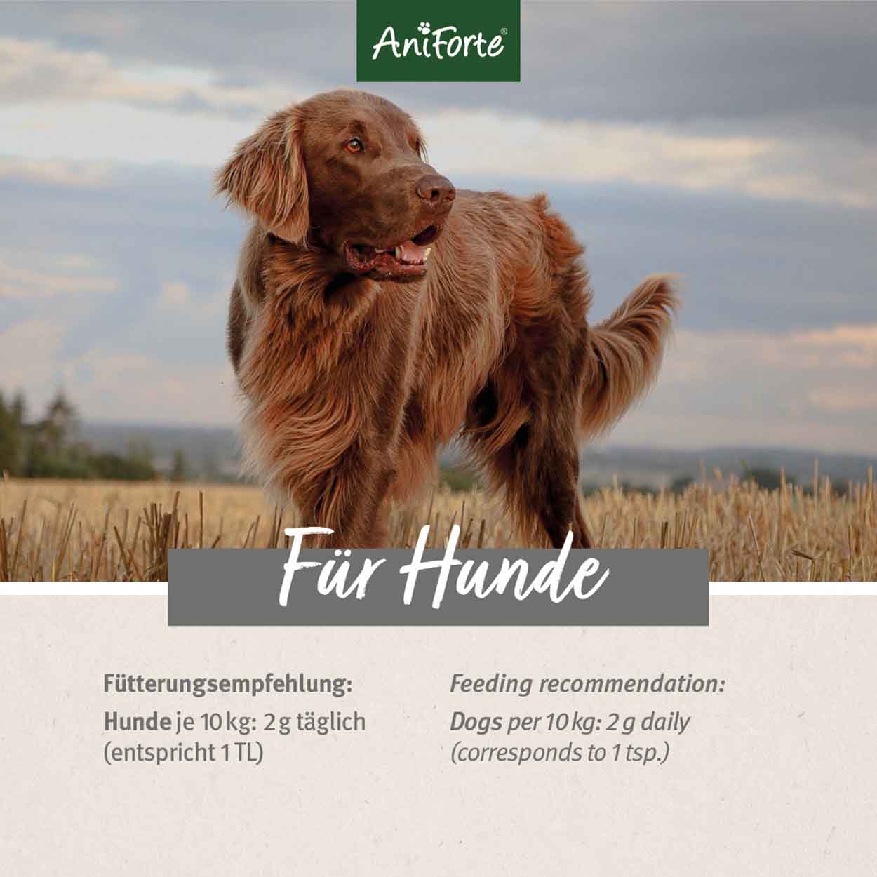 AniForte NierenVetal Pulver Hund 100g