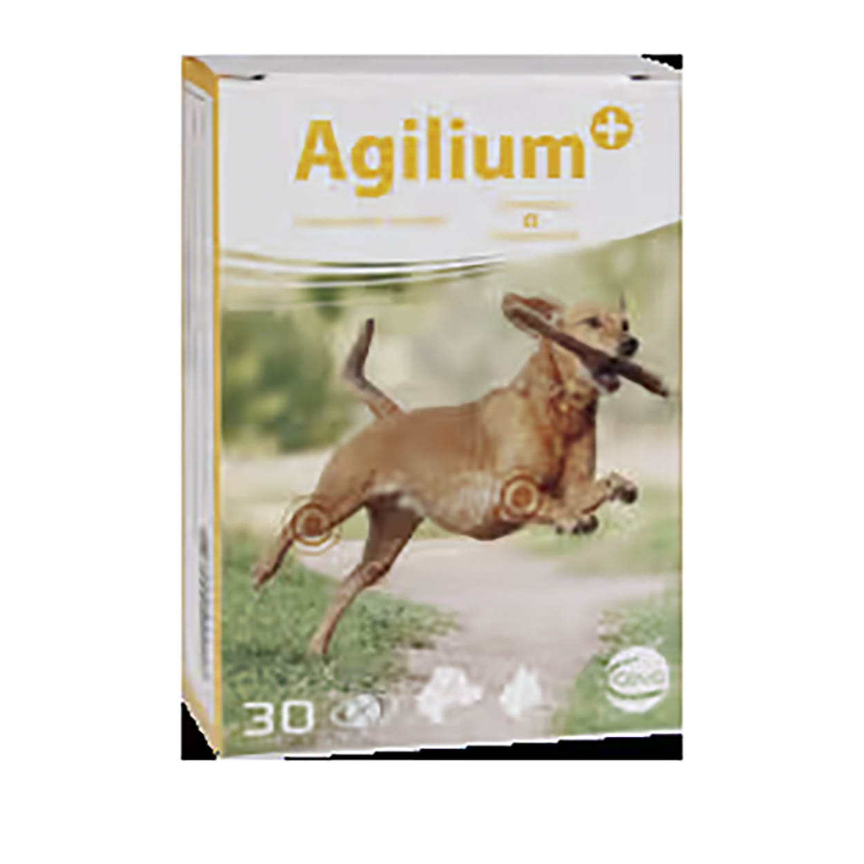 Agilium+ 30 Tabs MHD 01-2025