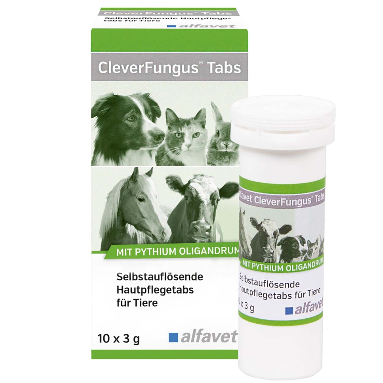 alfavet CleverFungus Tabs 10x3g