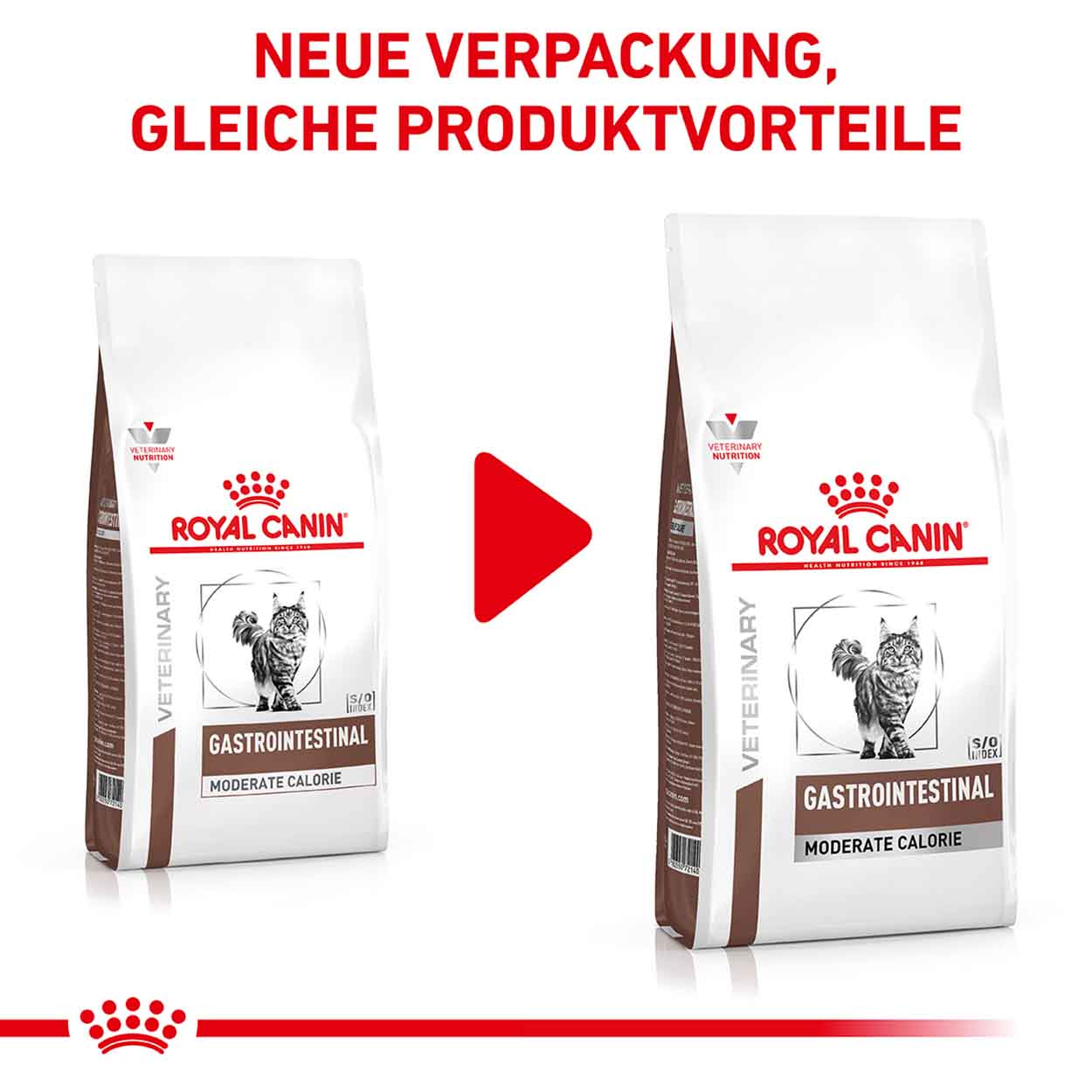 Royal Canin Katze GastroIntestinal moderate calorie