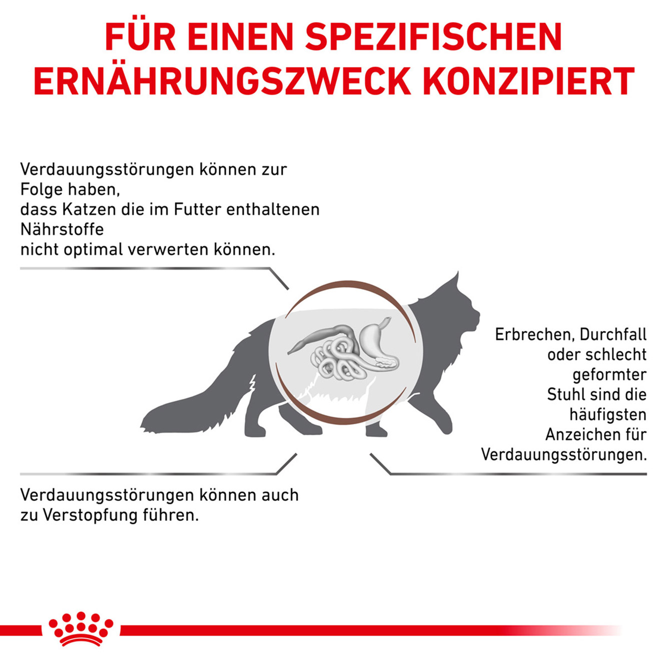 Royal Canin Katze GastroIntestinal Fibre Response