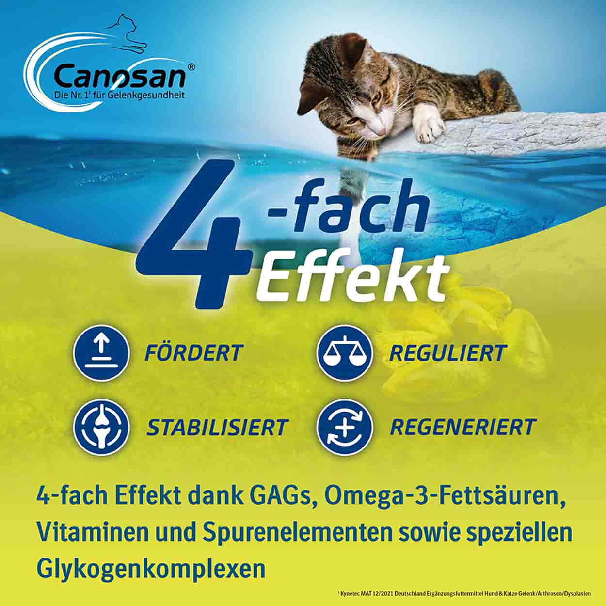 Canosan Kautabletten Katze