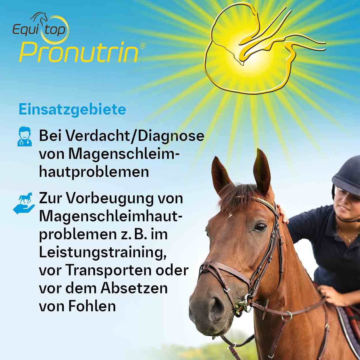 Equitop Pronutrin Pellets