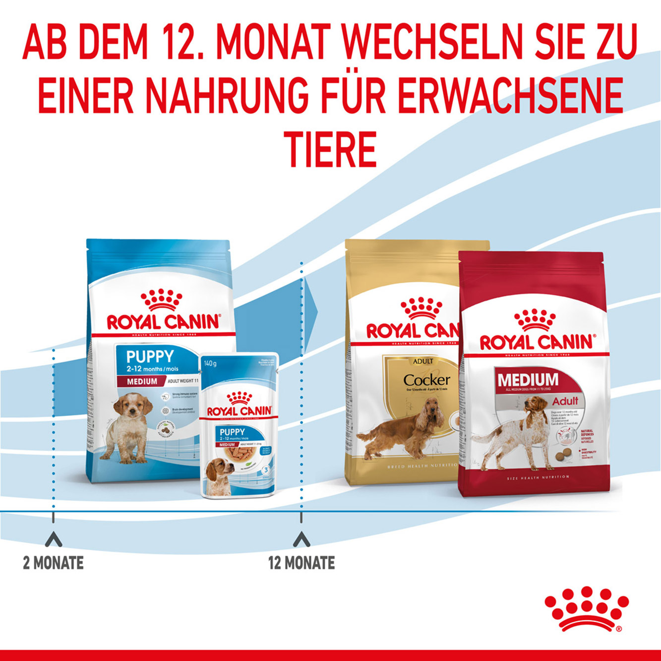 Royal Canin Hund Medium Puppy 15kg