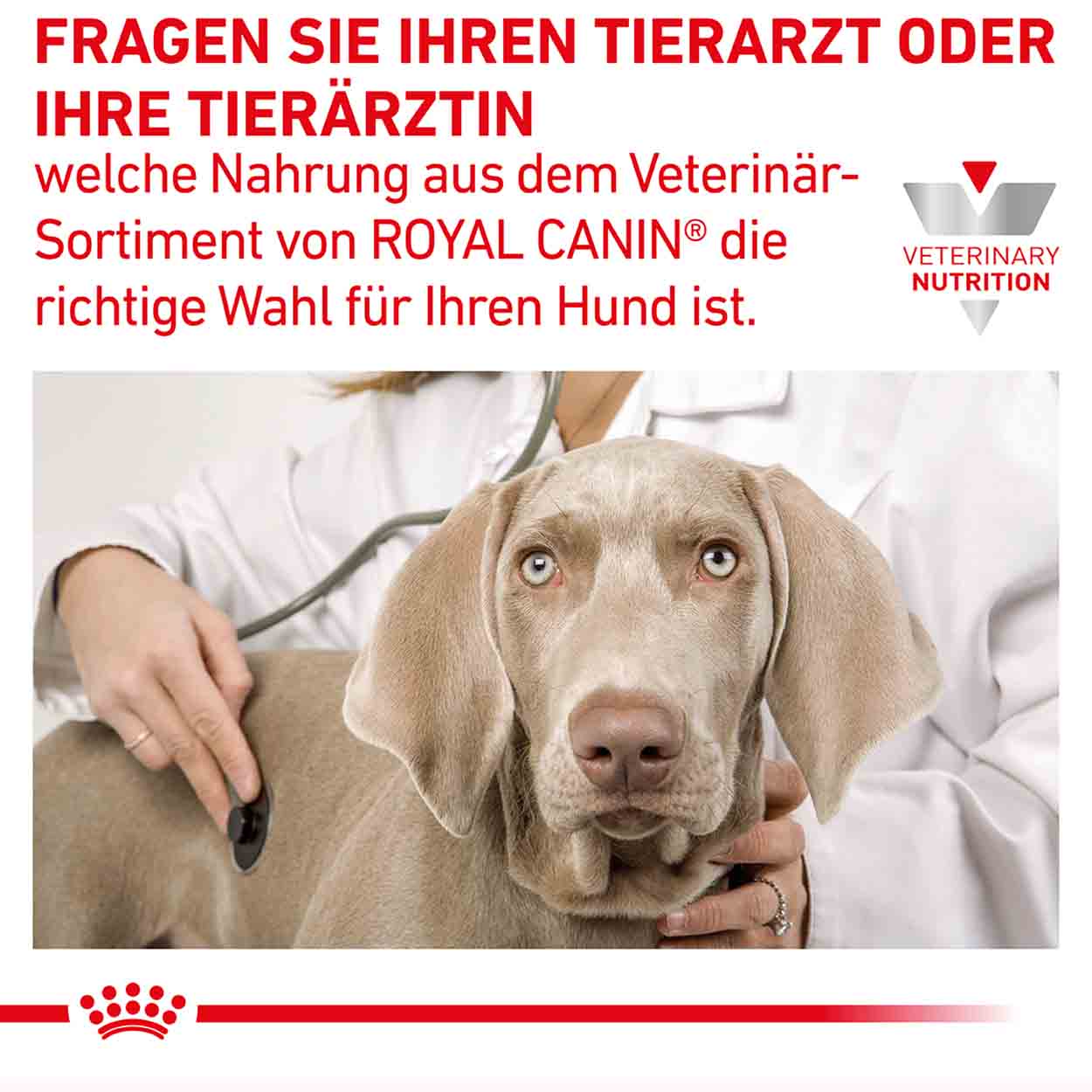 Royal Canin Hund GastroIntestinal 2kg