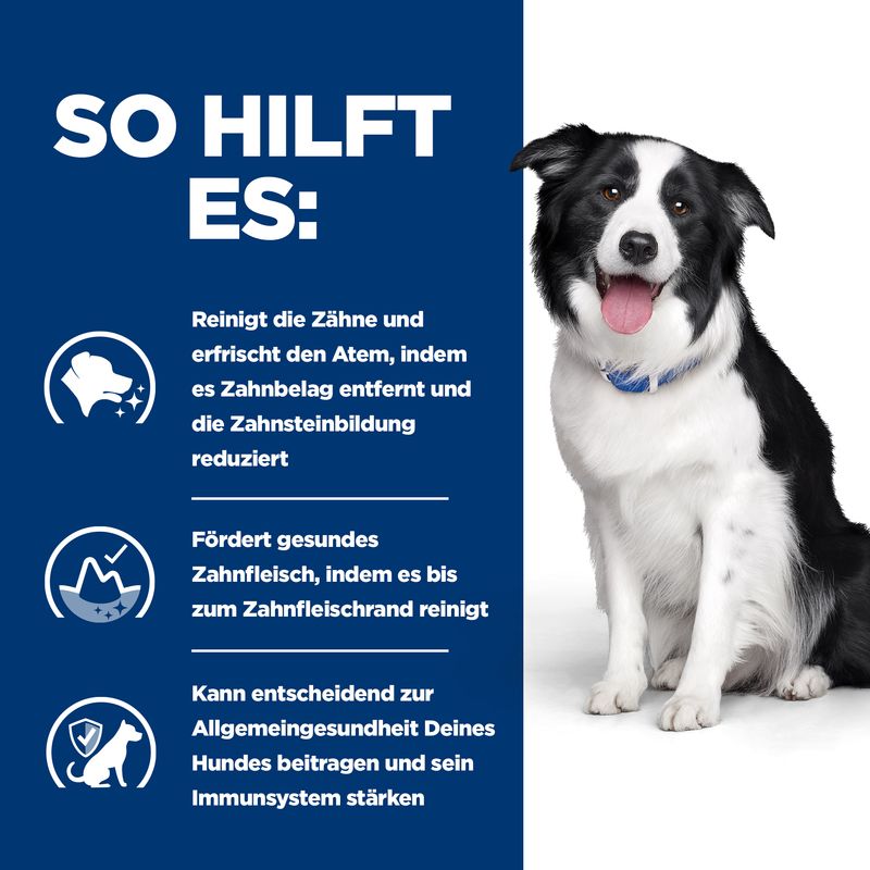 Hills Canine t/d 10kg