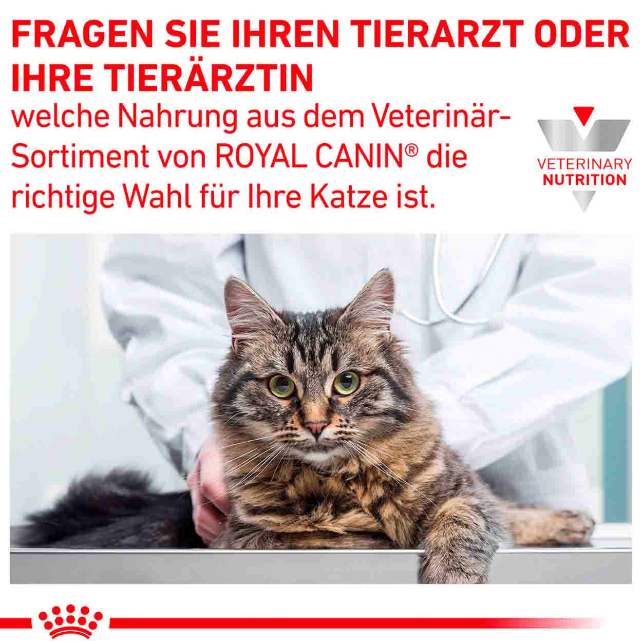 Royal Canin Katze GastroIntestinal