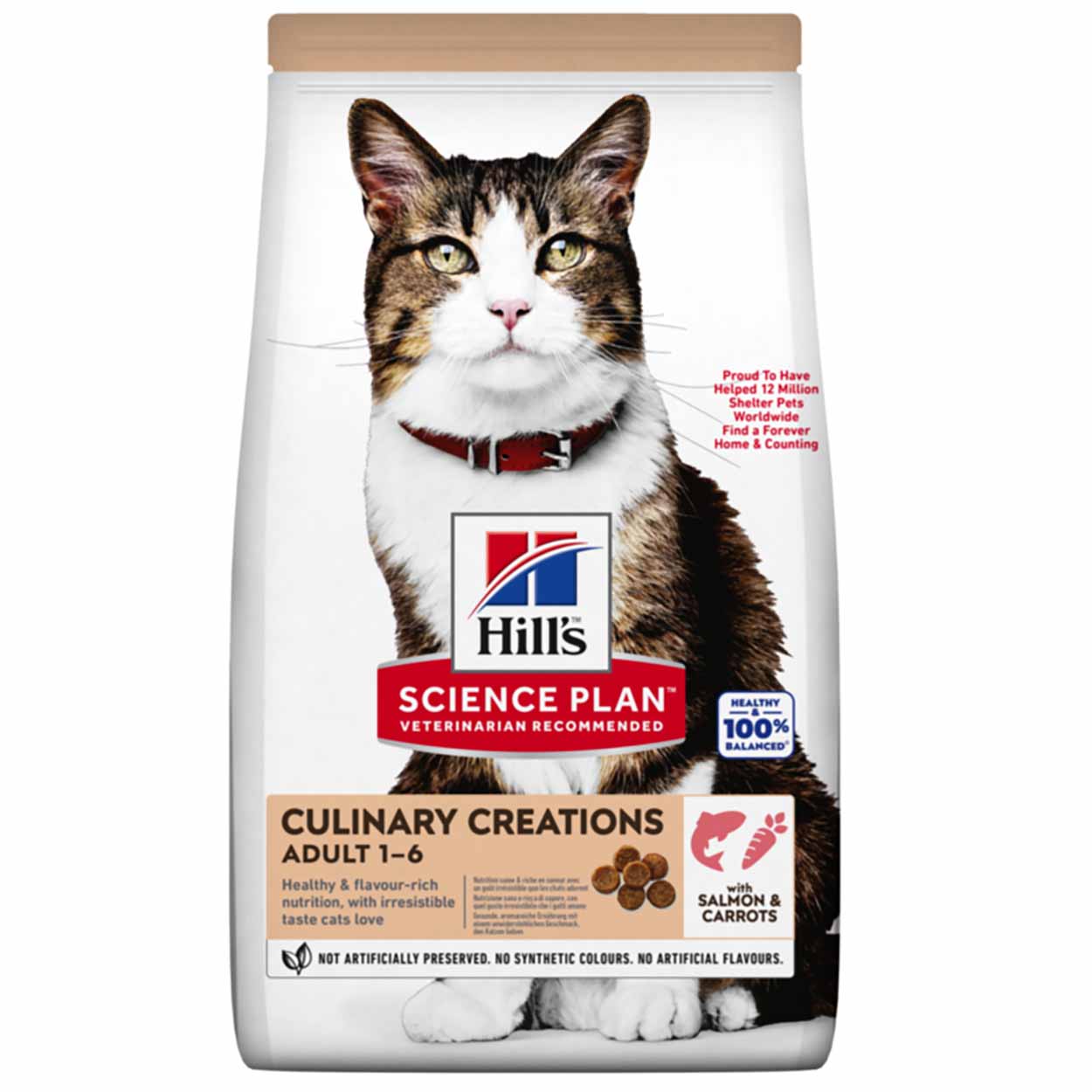 Hills Science Plan Culinary Creations  Katze Adult Lachs 10kg