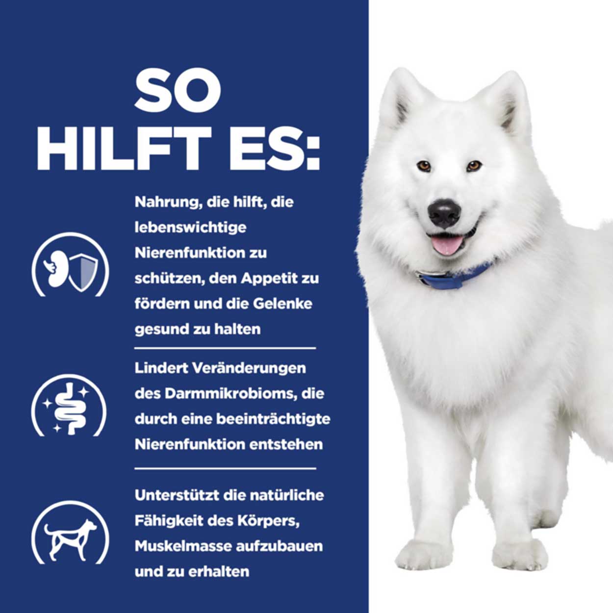 Hills Canine k/d Mobility Ragout Huhn Gemüse12x354g