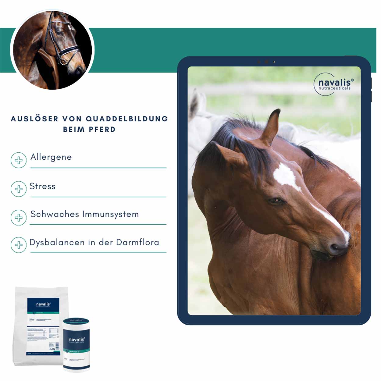 Immunal u Horse Pulver 1kg