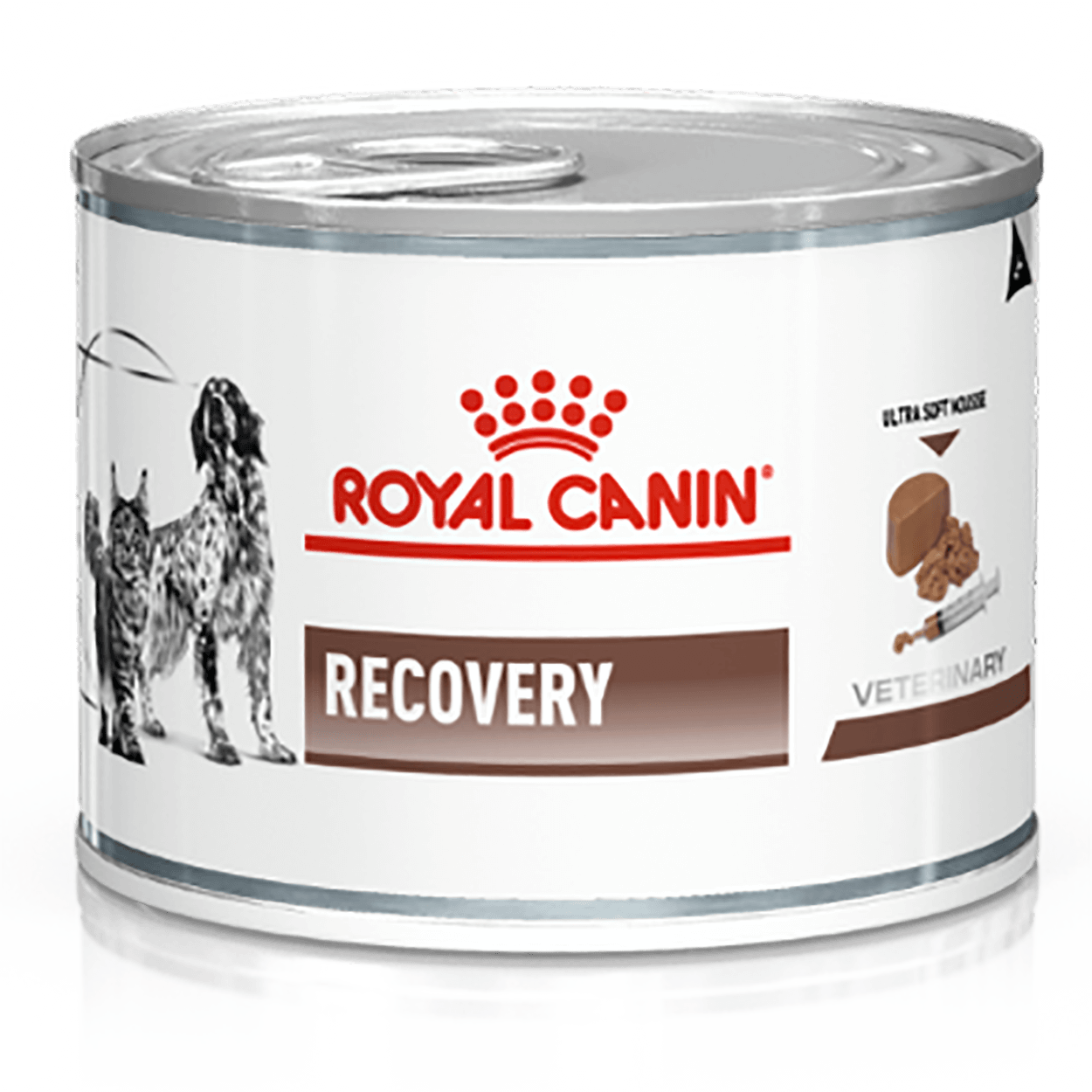 Royal Canin Recovery Hund + Katze feucht