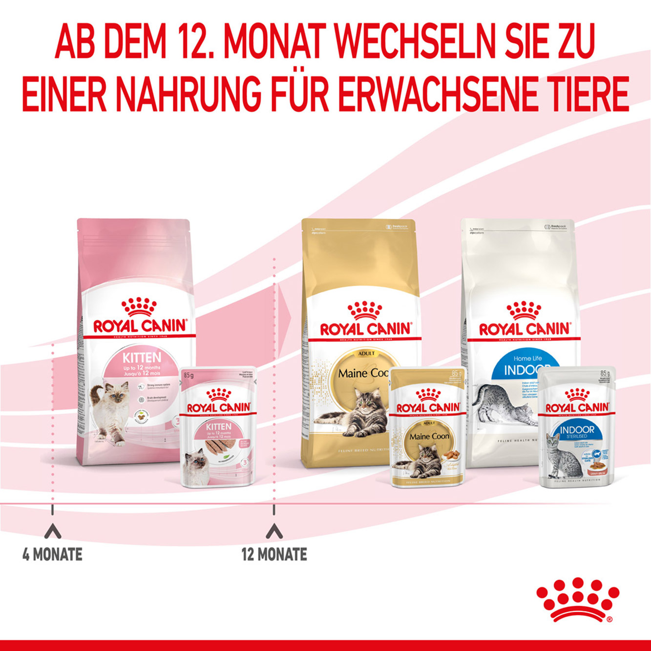 Royal Canin Katze Kitten Mousse 12x85g