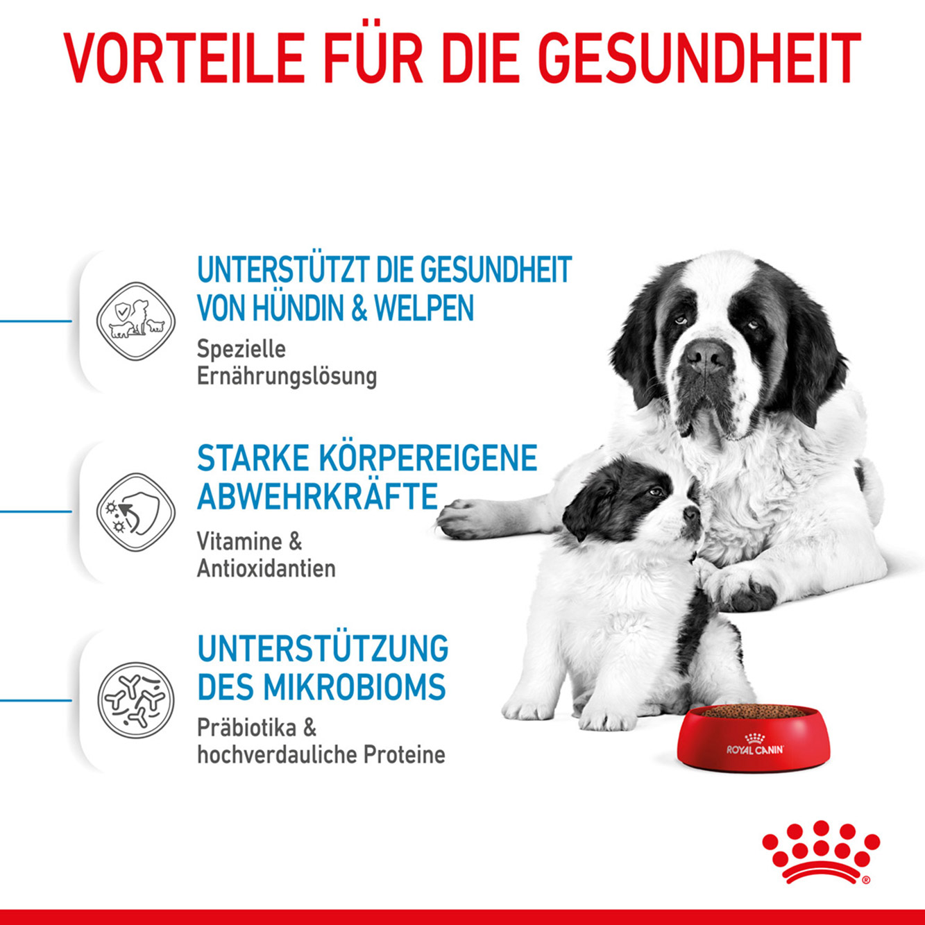 Royal Canin Hund Giant Starter 15kg