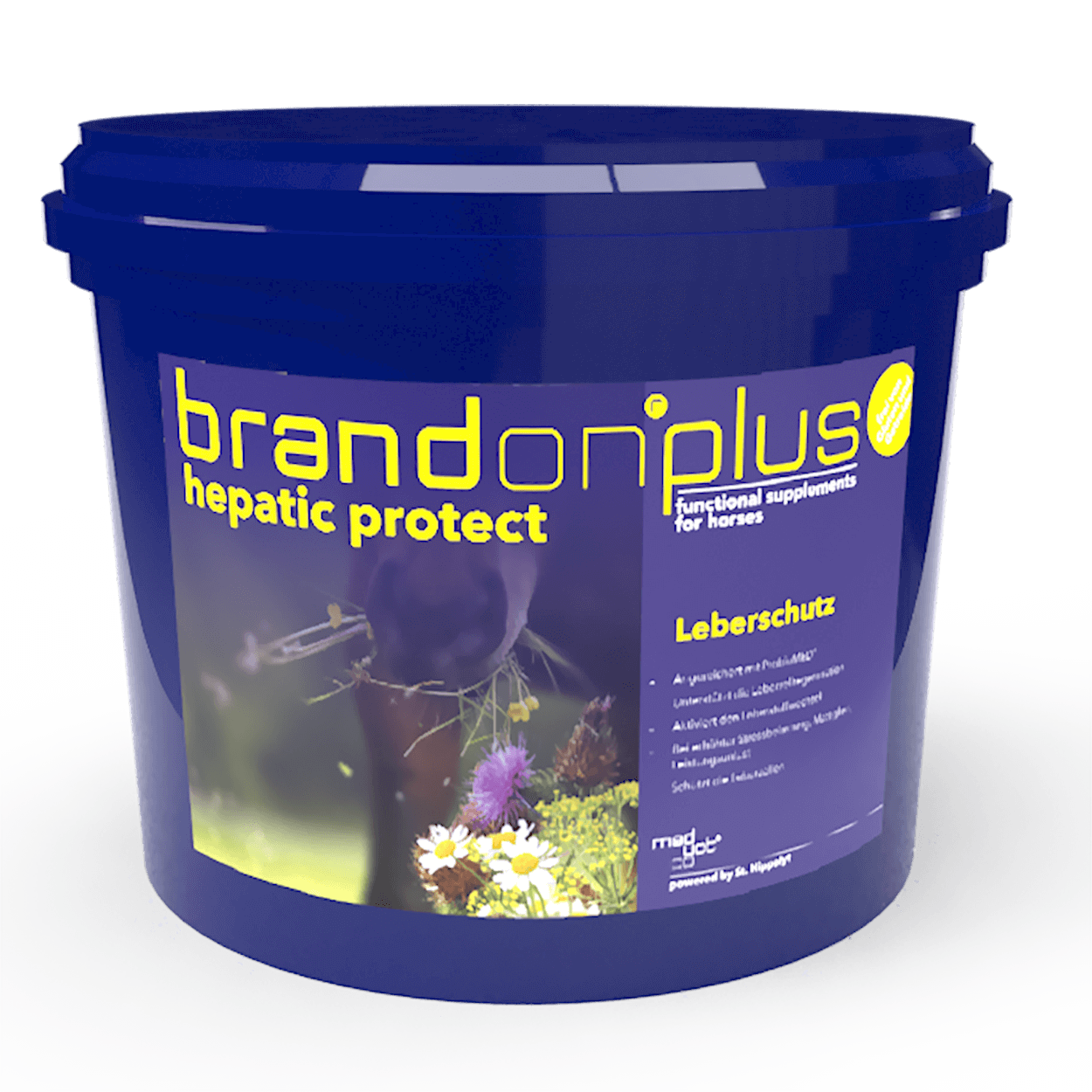 Brandon plus Hepatic protect