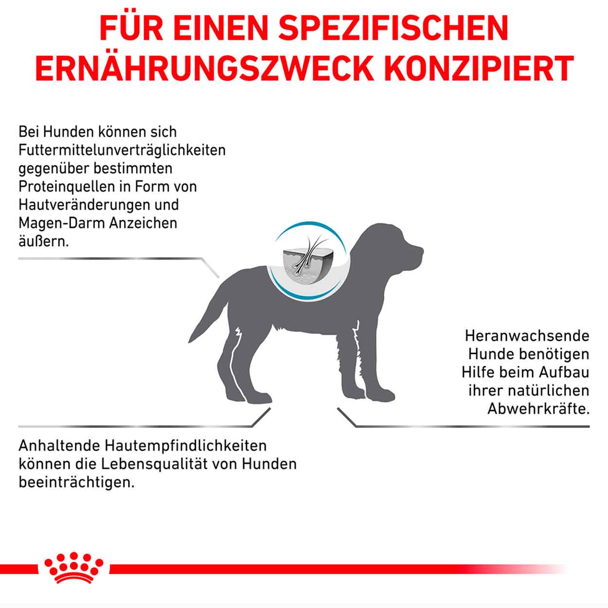 Royal Canin Hund Hypoallergenic Puppy 1,5kg 