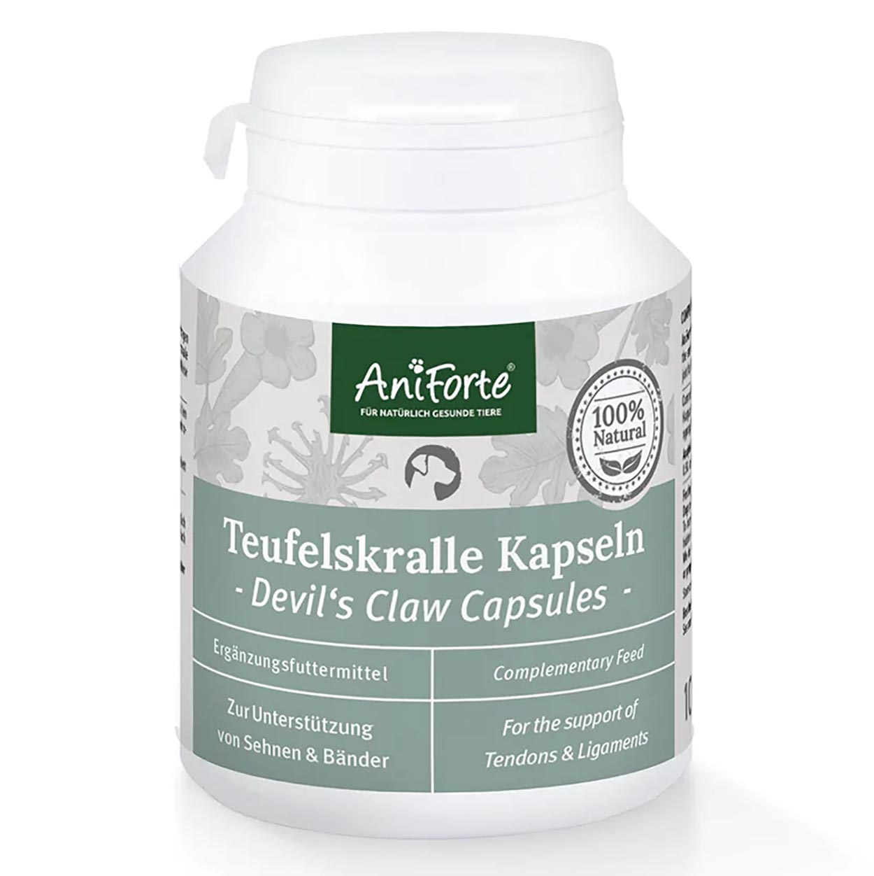 AniForte Teufelskralle Kapseln 100Stk