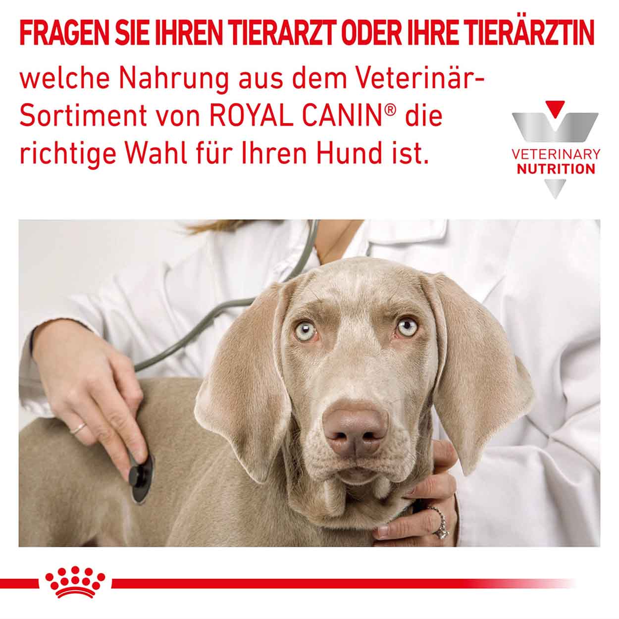 Royal Canin Hund Cardiac 12x410g