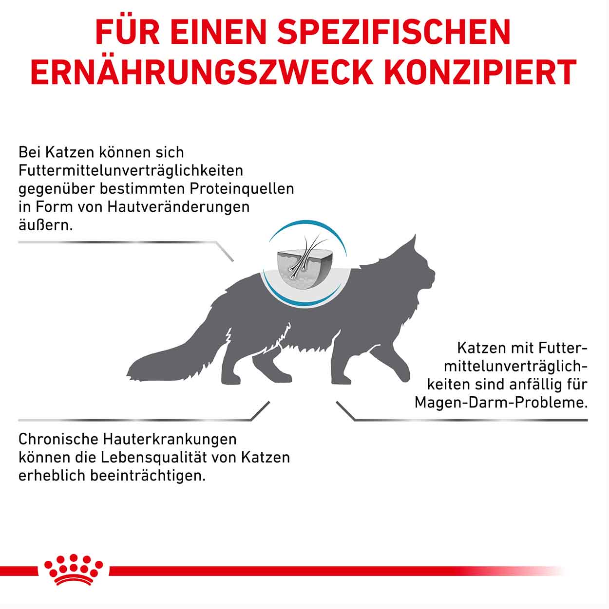 Royal Canin Katze Hypoallergenic