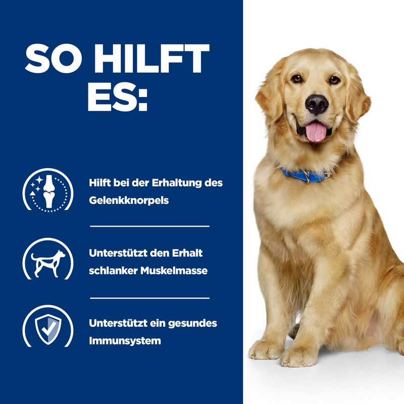 Hills Canine j/d 12x370g Dosen