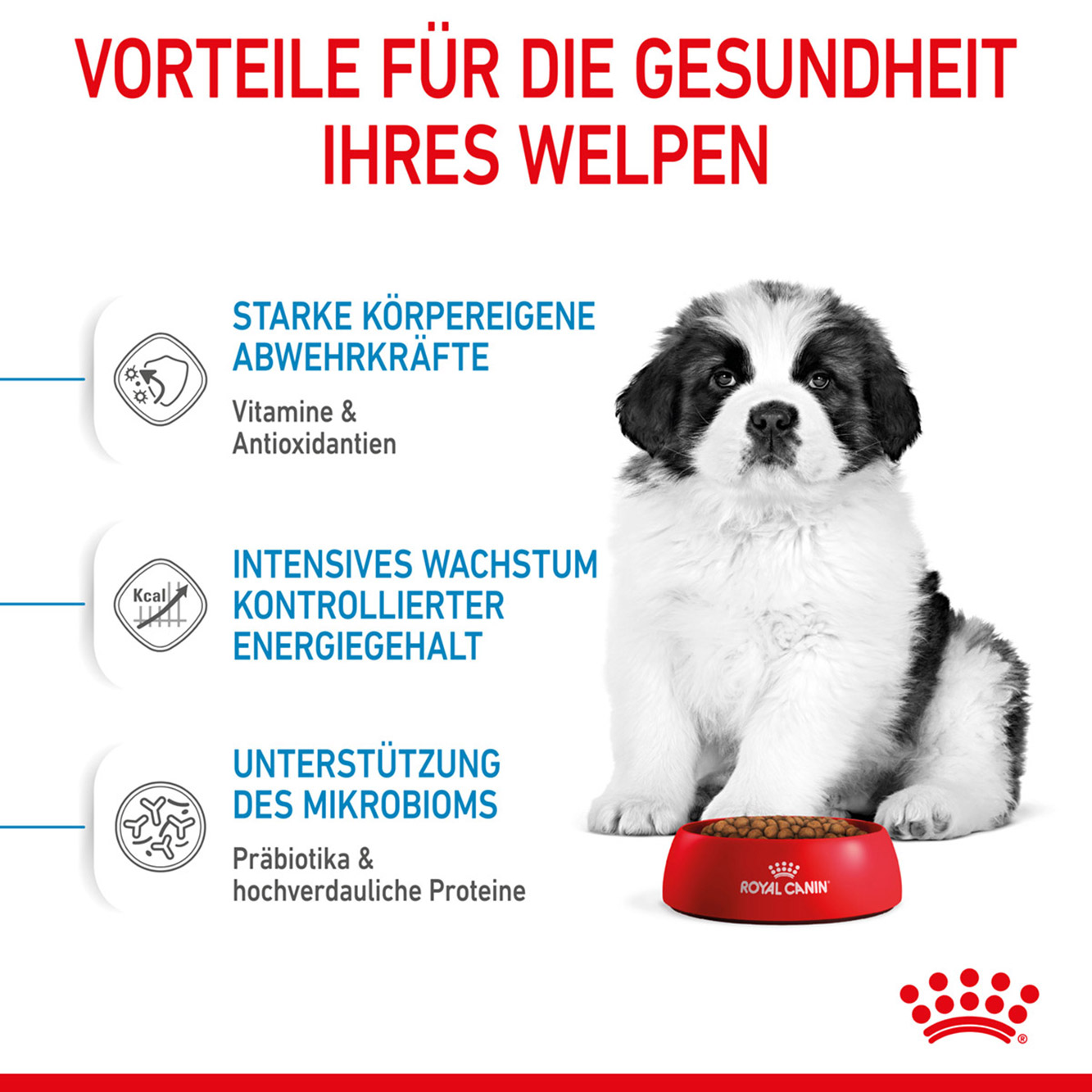 Royal Canin Hund Giant Puppy 3,5kg