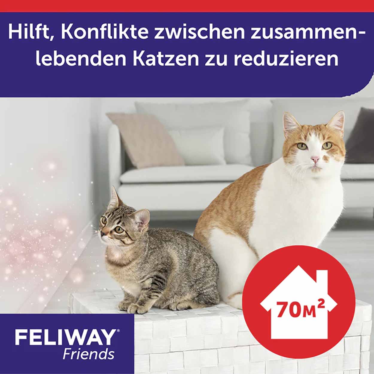 FELIWAY Friends