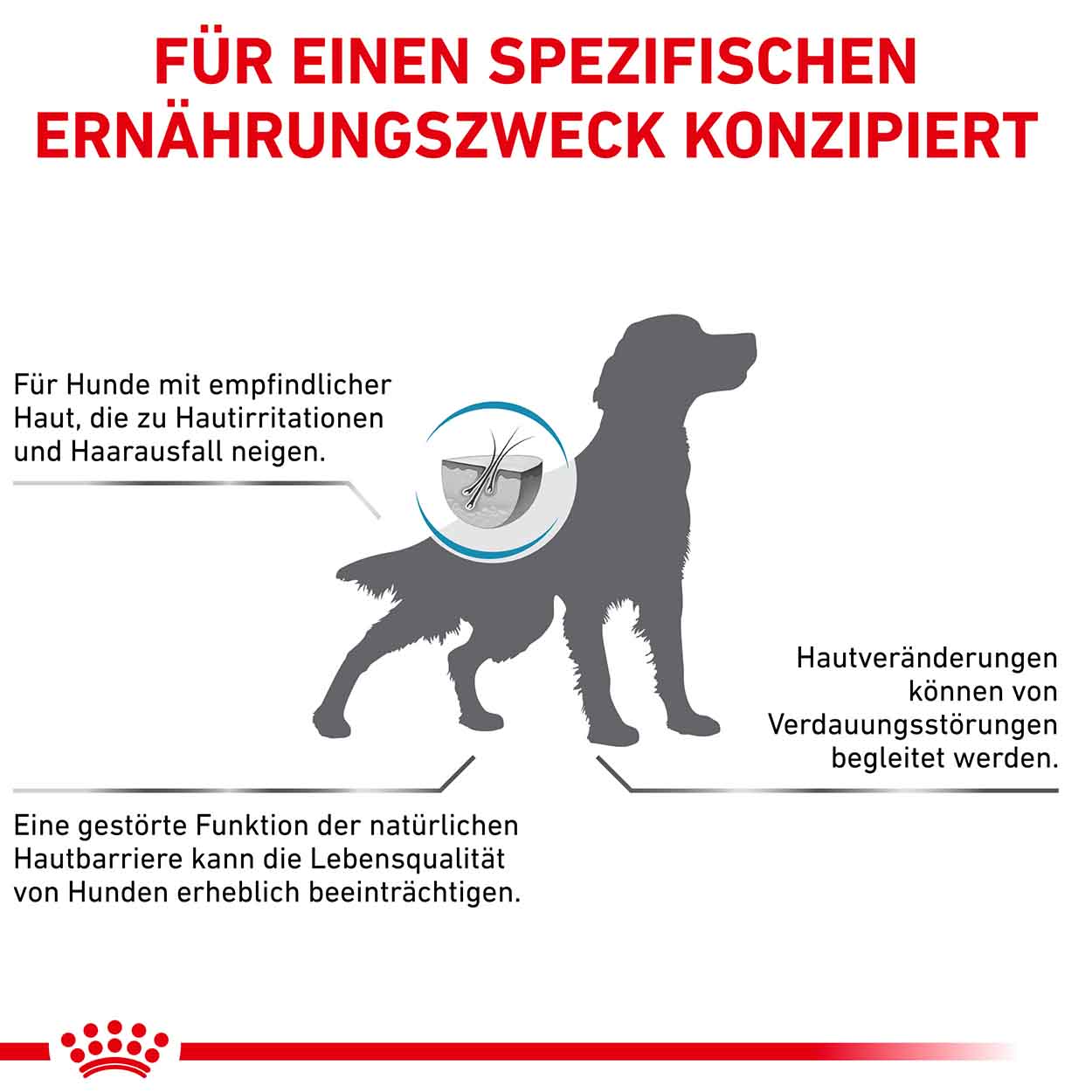 Royal Canin Hund Skin Care dog