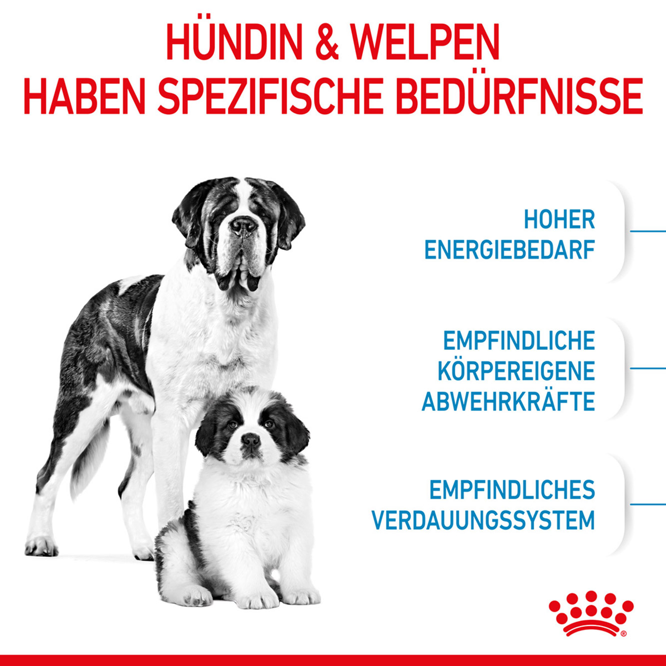 Royal Canin Hund Giant Starter 15kg