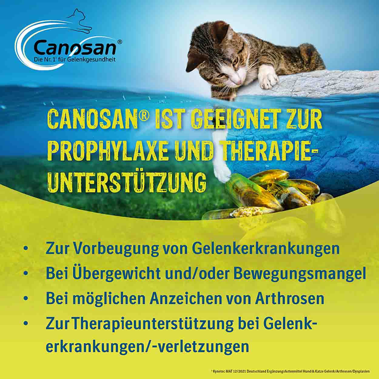 Canosan Kautabletten Katze