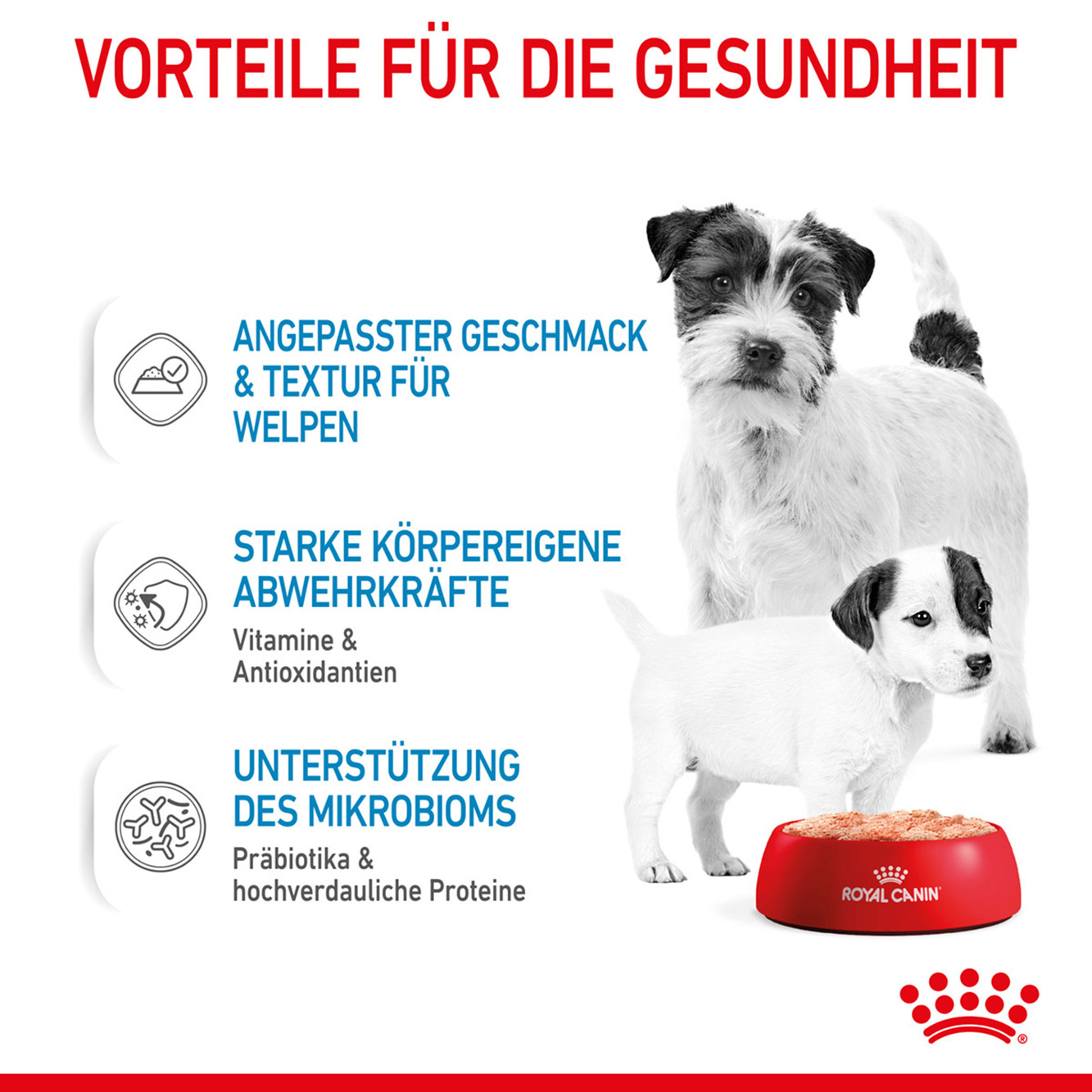 Royal Canin Hund Starter Mousse 12x195g