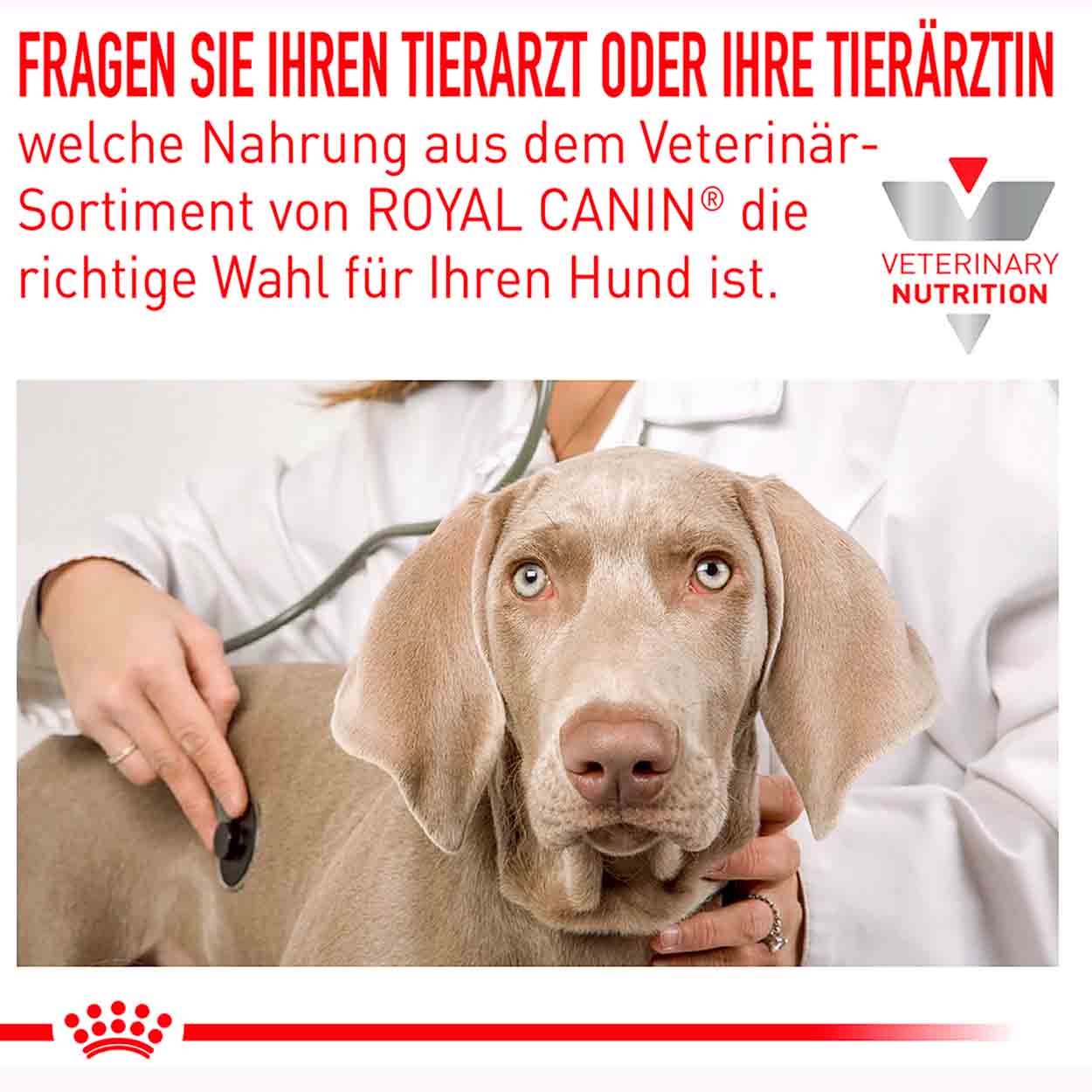 Royal Canin Hund Anallergenic small Dog 3kg