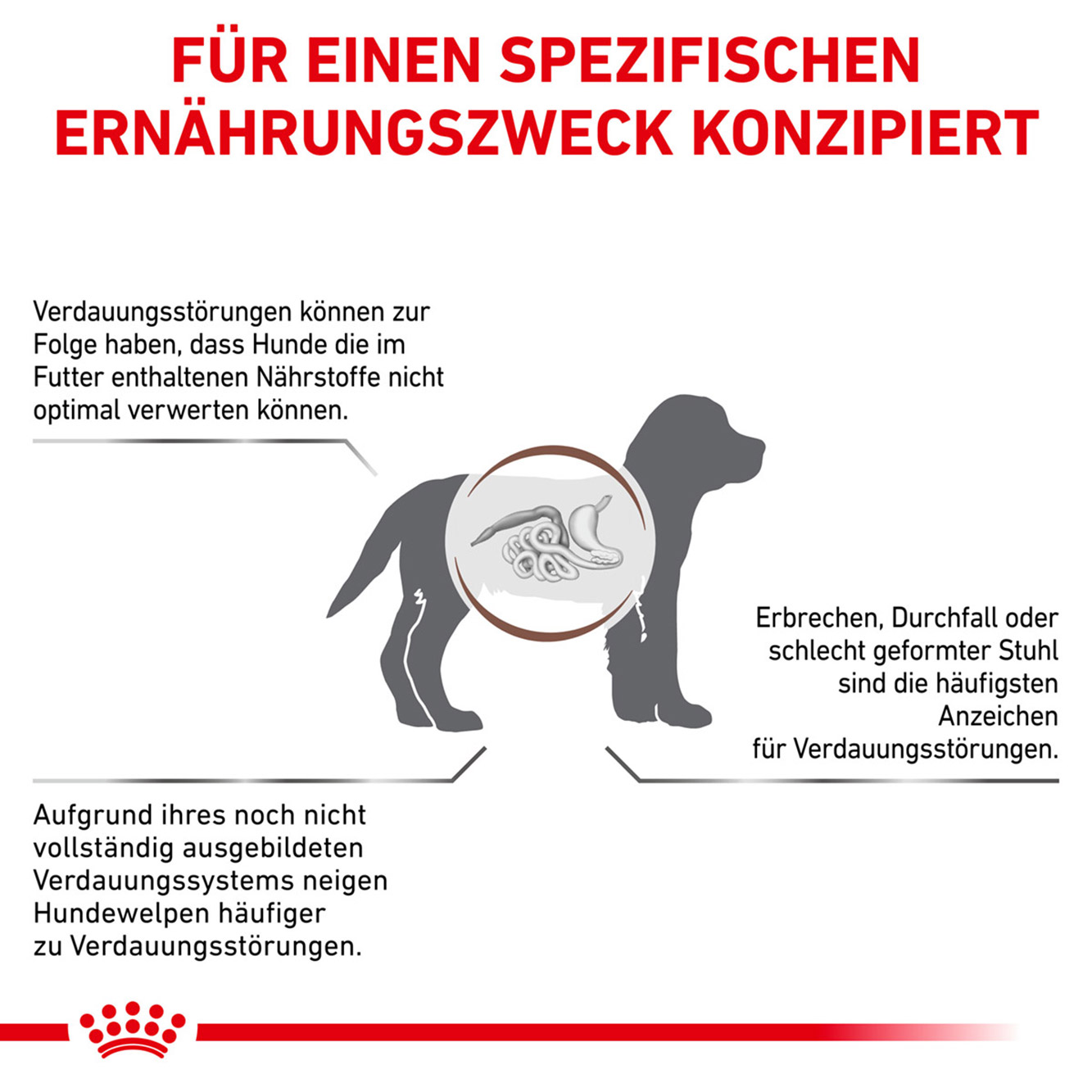 Royal Canin Hund GastroIntestinal Puppy