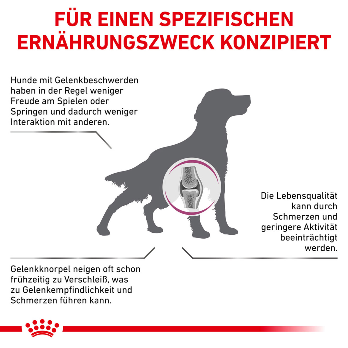 Royal Canin Hund Mobility Support 12kg Bruchsack